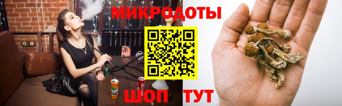 Елабуга  Псилоцибиновые грибы мицелий  Вход с VPN 